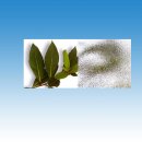 Haustür CM-01A | Ornamentglas | anthrazit | auswärts öffnend