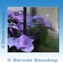 Haustür mit E-Öffner | PENNSYLVANIA INOX | weiß | 106 x 229 | links einwärts | umlaufend stahlverstärkt | YF701