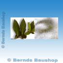 Kunststoff Haustür BK-04S | weiß | Höhe: 180 cm