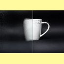 Festelement | 107 x 108 cm | 2-fach Glas Chinchilla | weiß | UA581