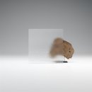 Festelement | 227 x 128 cm | 2-fach Glas Chinchilla | weiß | UA585